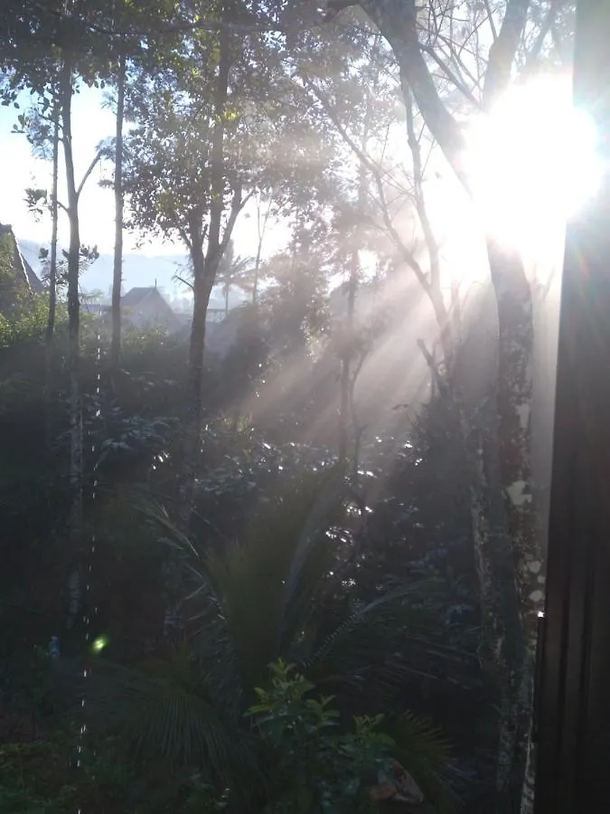Winterhome Homestay Munnar 0*,  Hindistan