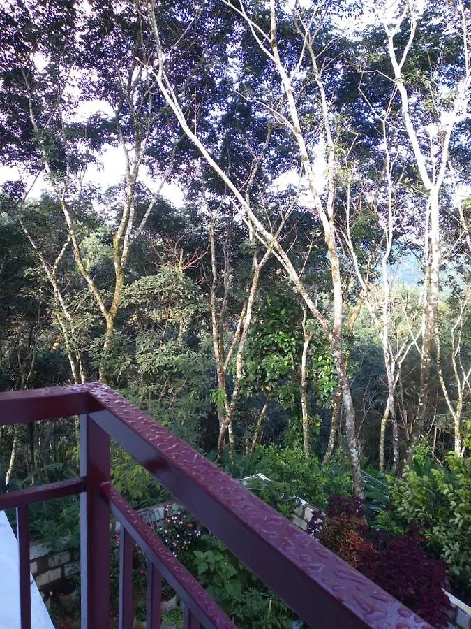 Winterhome Homestay Munnar