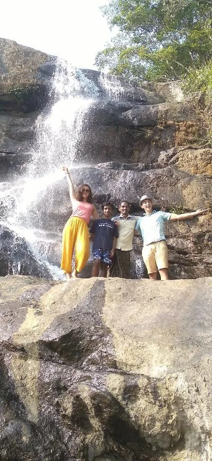 Winterhome Homestay Munnar