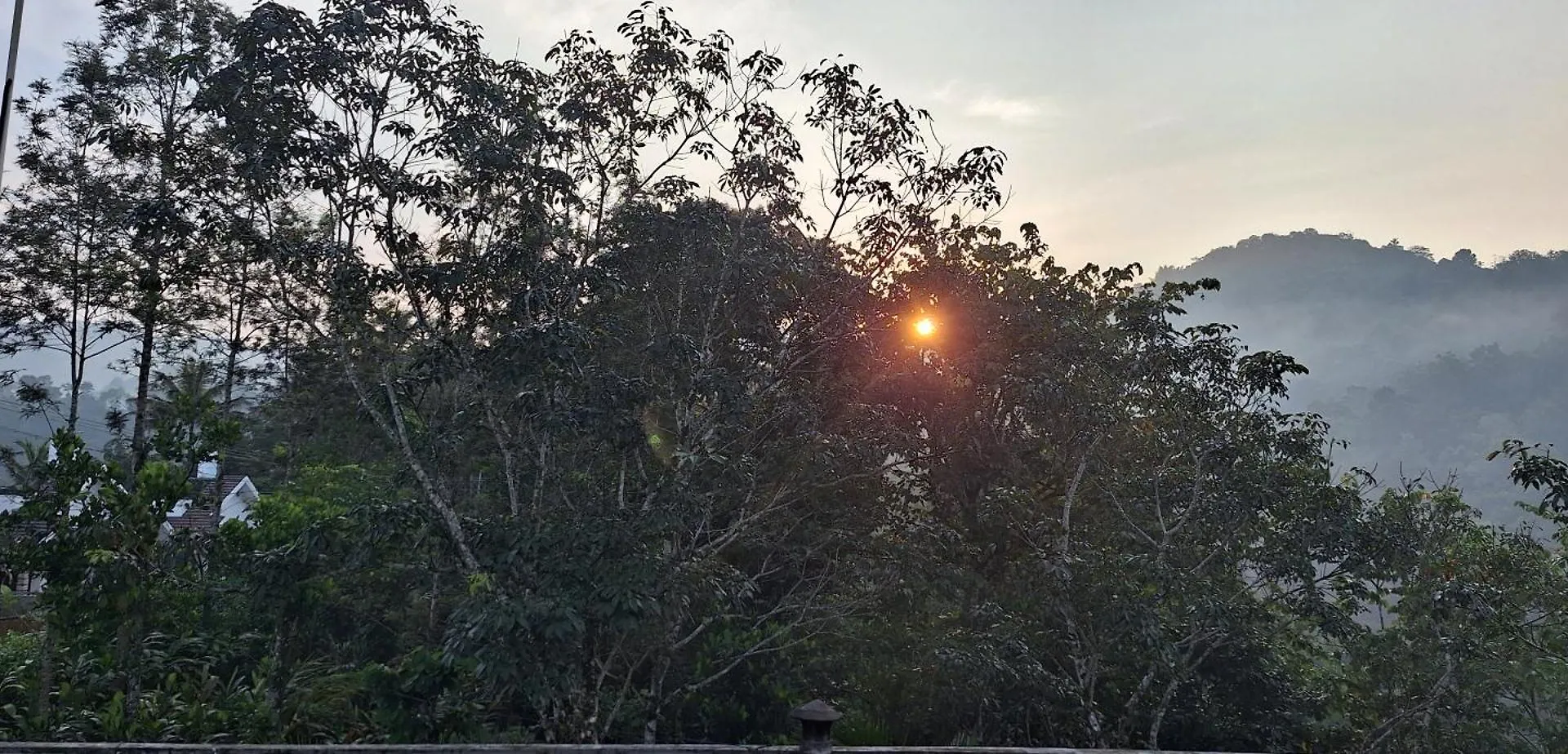 Winterhome Homestay Munnar